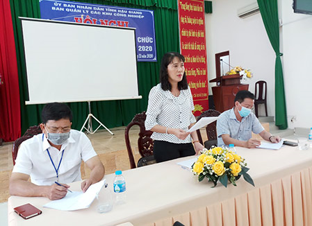 Phó Chủ tịch UBND tỉnh Hồ Thu Ánh phát biểu chỉ đạo khi làm việc với các đơn vị, doanh nghiệp tại Ban Quản lý các Khu công nghiệp tỉnh.