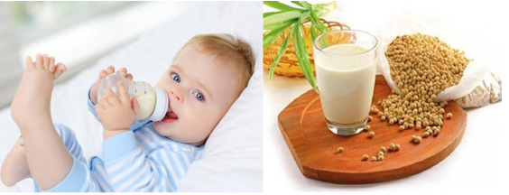 Trẻ sau 6 tháng và người trưởng thành nên sử dụng sữa và các sản phẩm của sữa phù hợp với từng lứa tuổi.